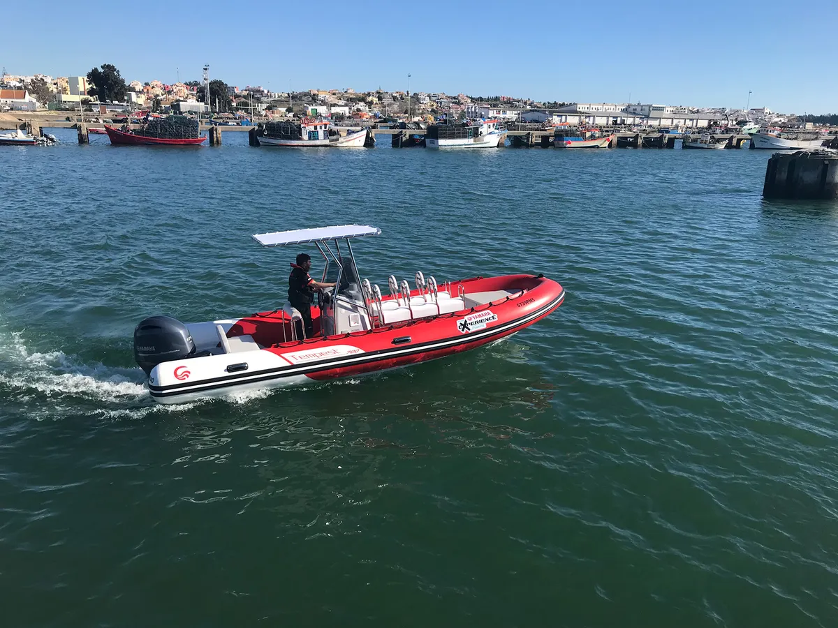 Capelli Tempest 700 Work: Red RIB boat cruising into harbour