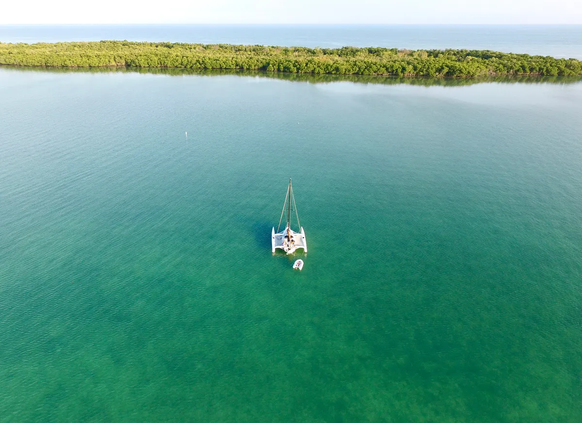 Corsair Marine 880: Catamaran at anchor near mangroves