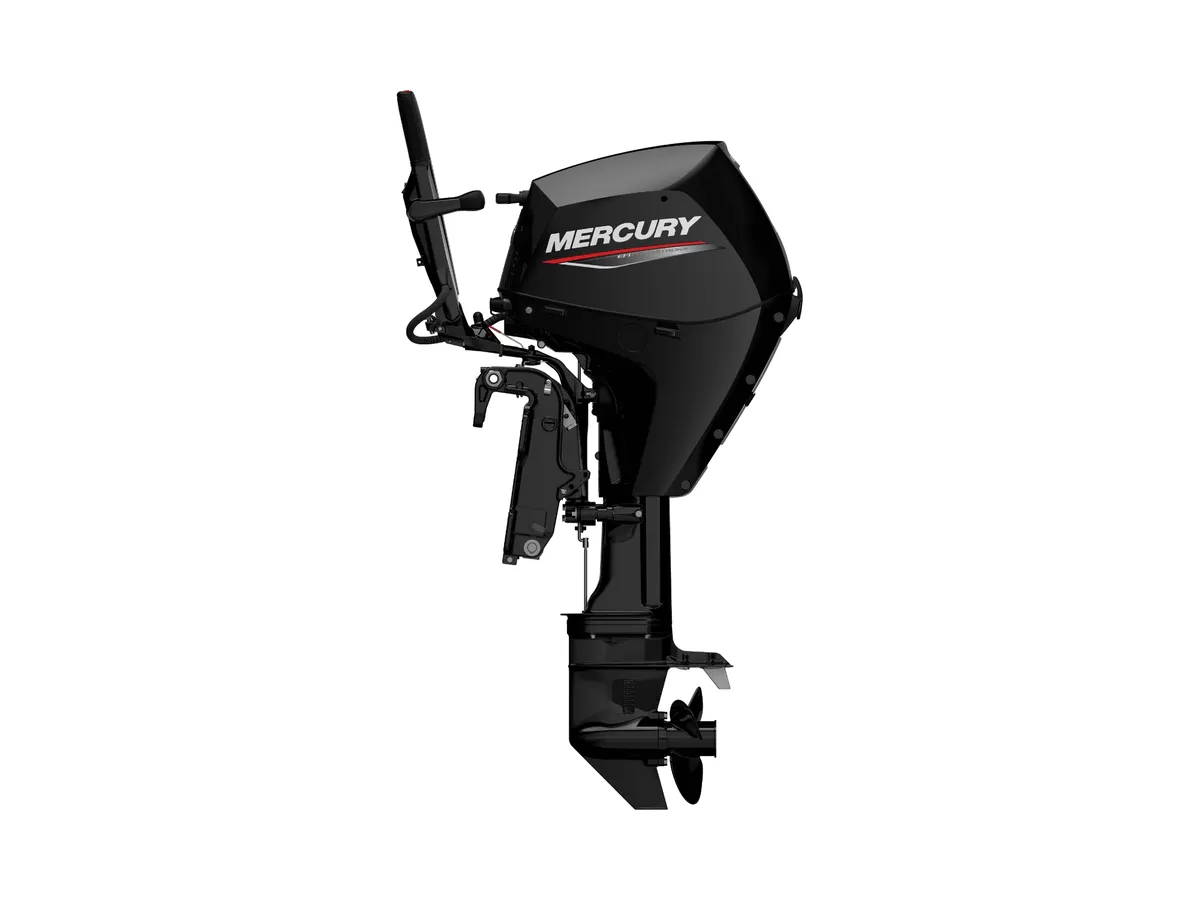 Mercury FourStroke 30